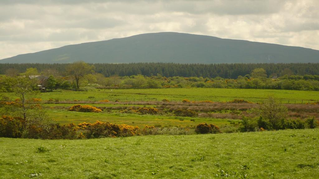 Maghernahar House B&B Ballycastle Extérieur photo